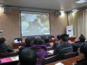 历史图片